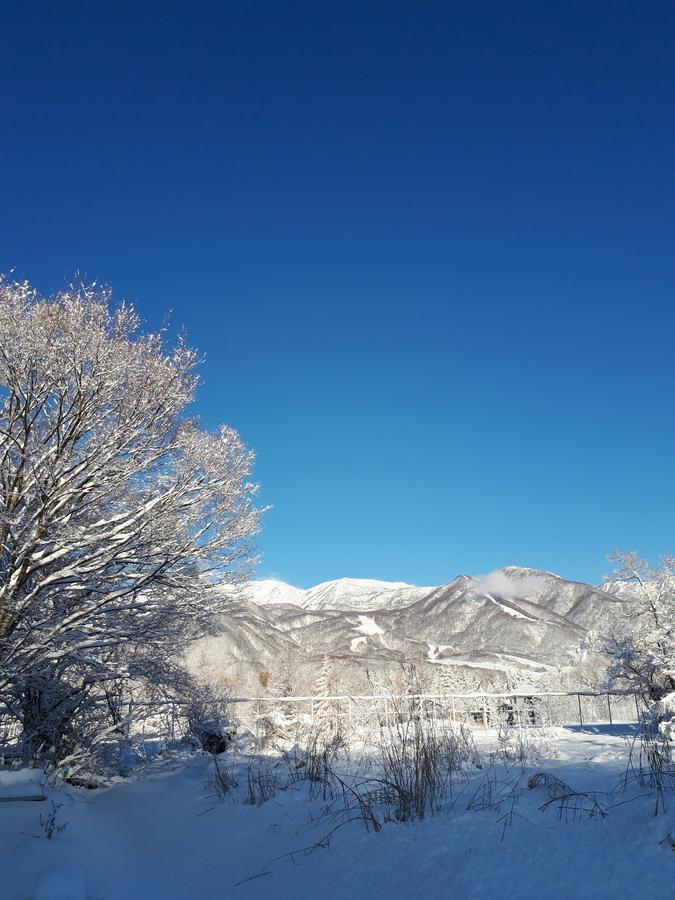 Pension Snow Хакуба Екстериор снимка